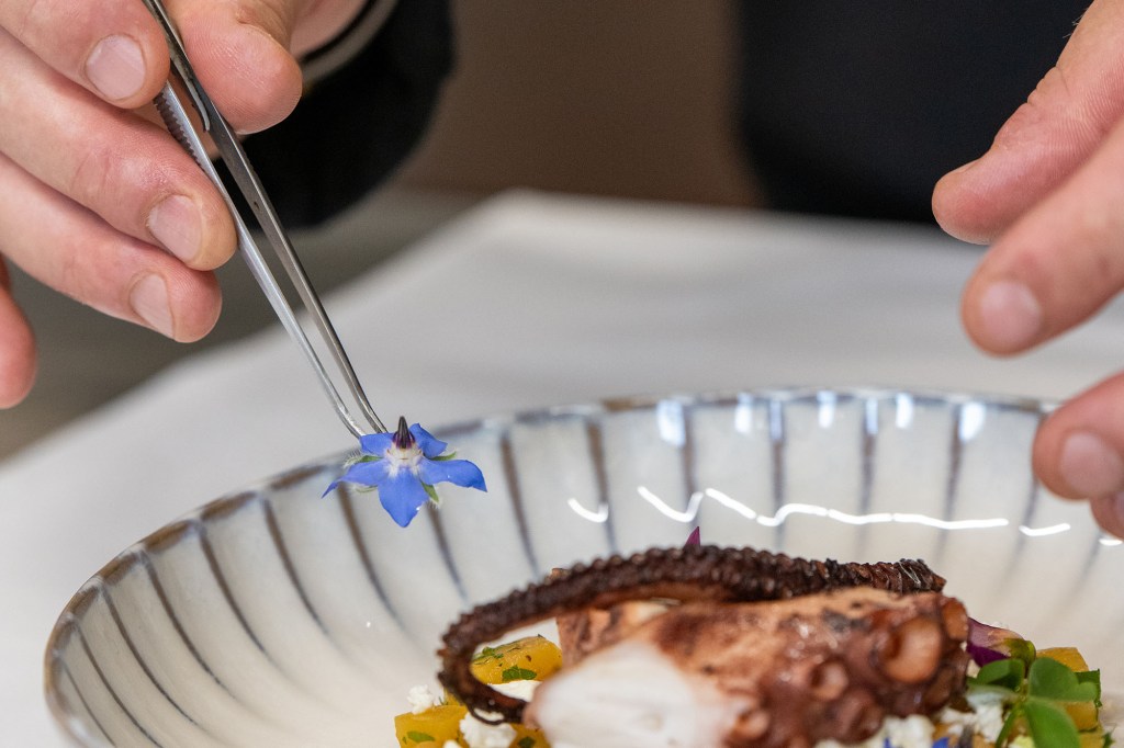 Karriere Seite, Detailarbeit an einem Gericht